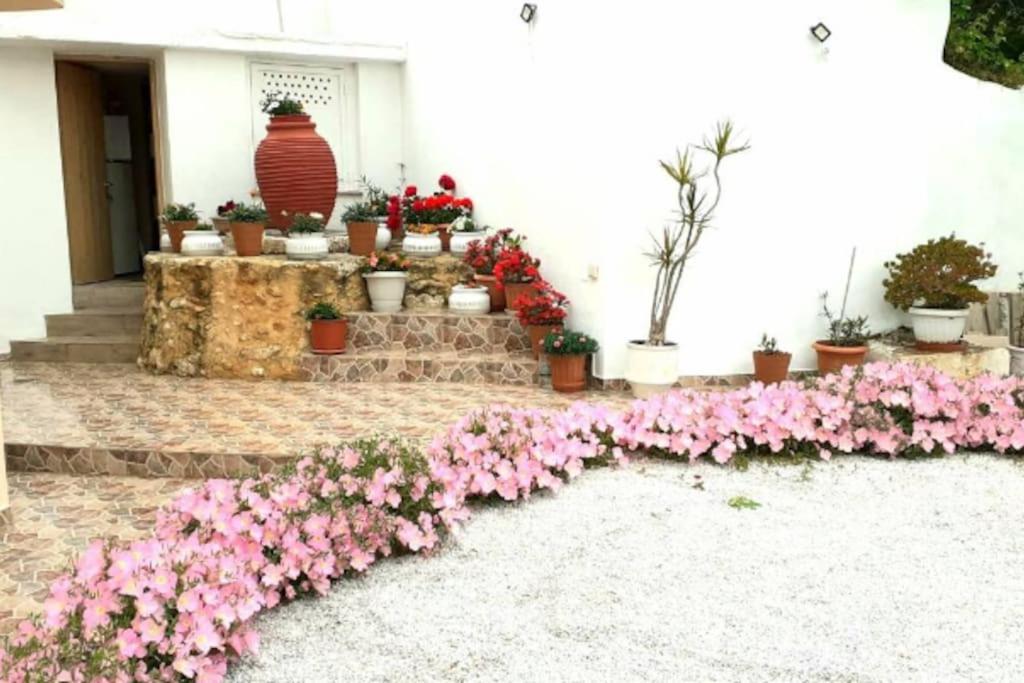 شقة Newly Reconstructed Flat 107Sqm! خانيا المظهر الخارجي الصورة